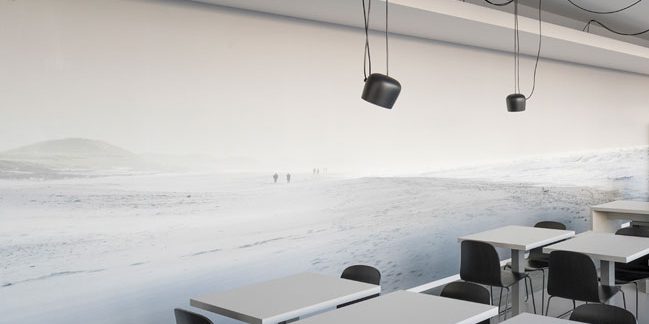 Wandgestaltung für ein Hamburger Büro