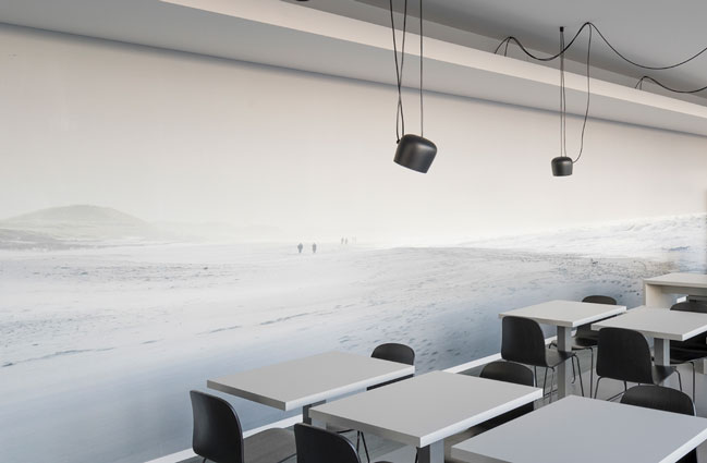 Wandgestaltung für ein Hamburger Büro