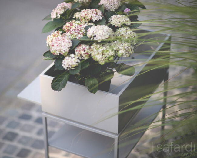 Pflanzenkrippe von lisafardiDESIGN aus Hamburg