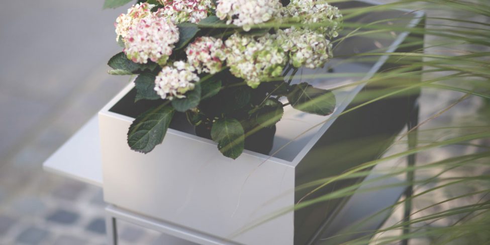 Pflanzenkrippe von lisafardiDESIGN aus Hamburg